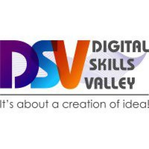 Digital Skills Valley
